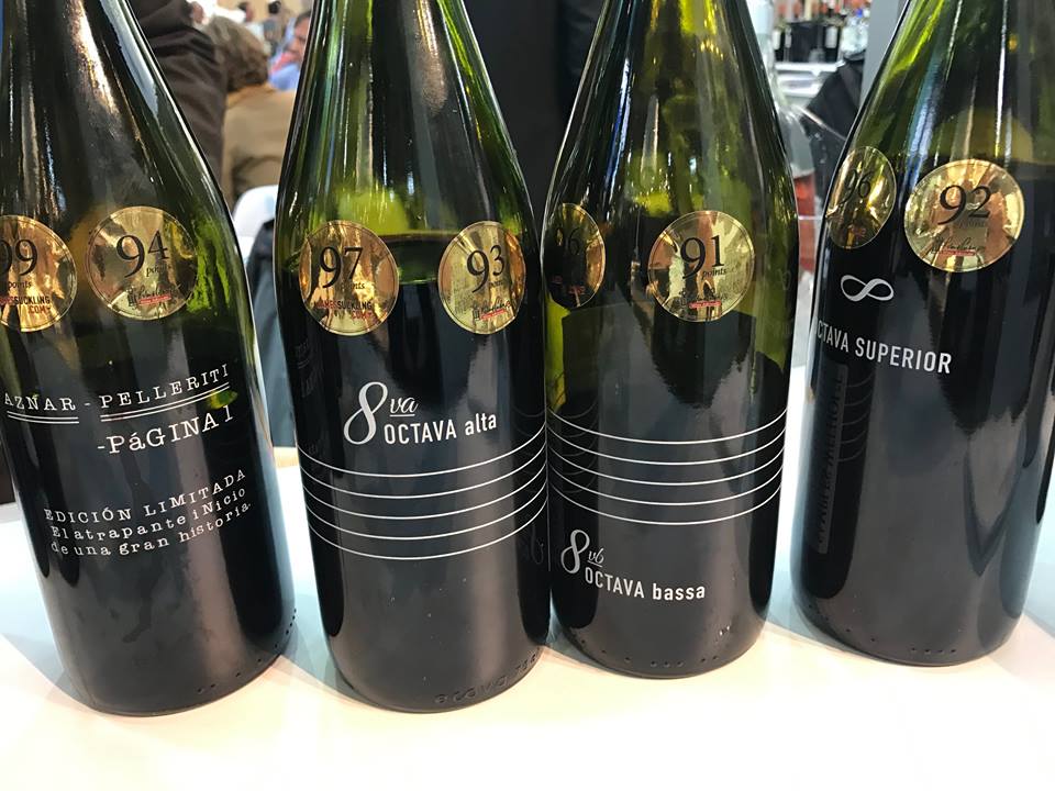 17523558_761671130673968_1331507860497777498_n