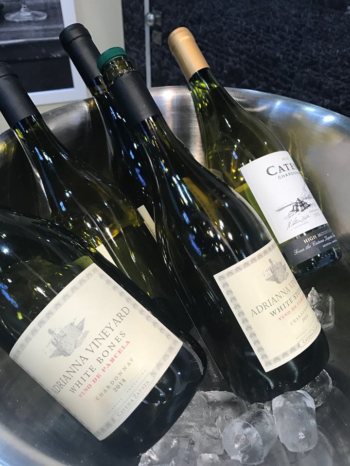 17626536_761670160674065_7199573368201837675_n